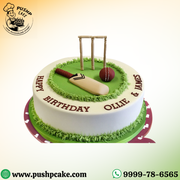 Boundary Bash Cake