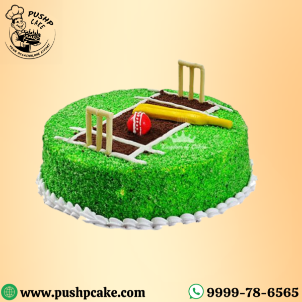 Field of Cricket